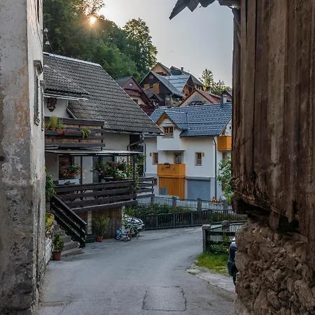House Zupanc * Bohinj
