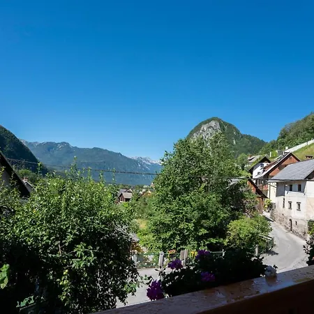 House Zupanc Dom wakacyjny