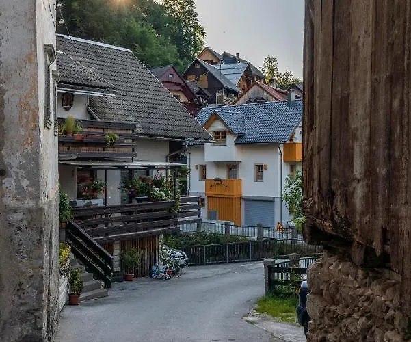 House Zupanc * Bohinj