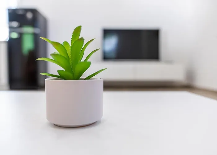 House Zupanc Dom wakacyjny